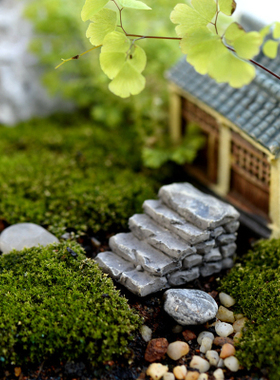 微景观简约现代风台阶树脂工艺品