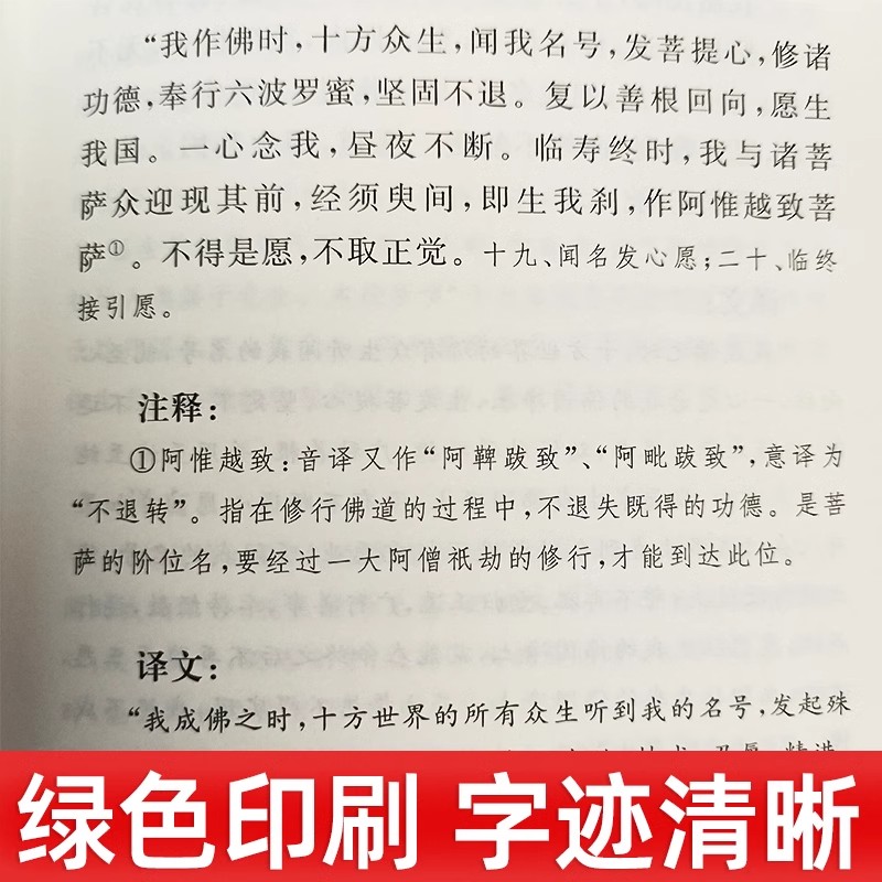 无量寿经原文注释译文佛教十三经单本中华书局念诵集经书佛学入门初学者书籍佛学经典修身经书佛说大乘无量寿庄严清净平等觉经-图2