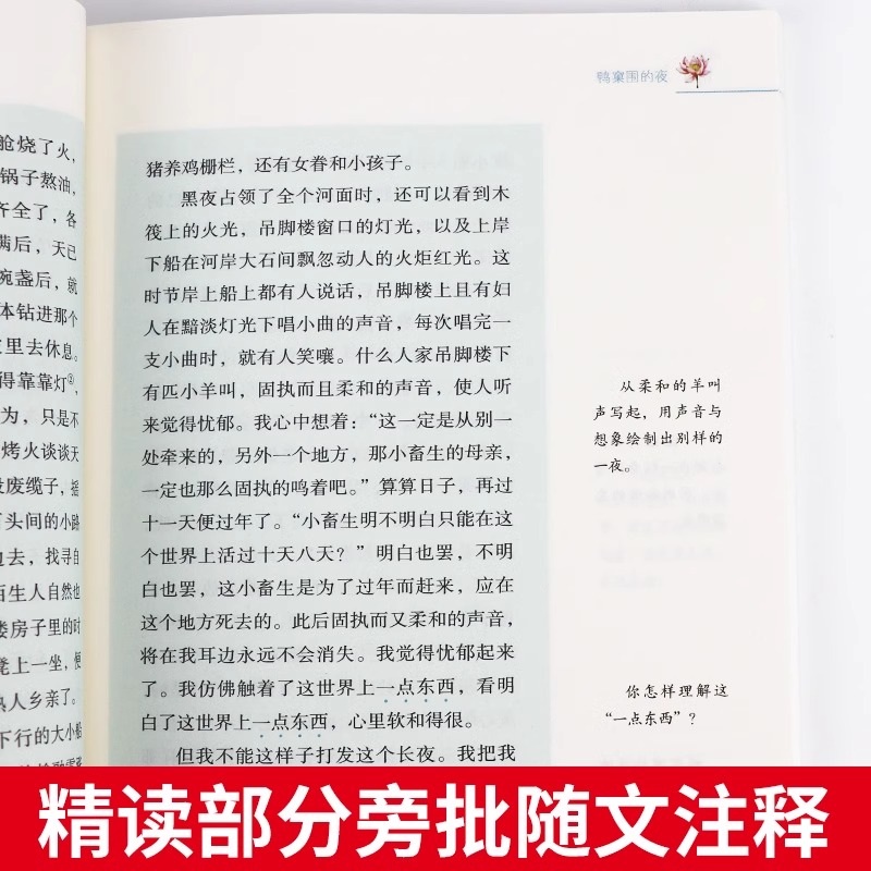 海底两万里骆驼祥子 西游记人民教育出版社 七年级上下册课外书 名著阅读课程化丛书 初中生课外书语文配套阅读 人民教育社