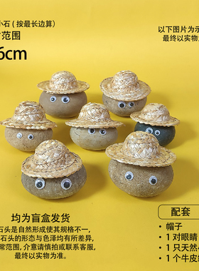 石头宠物石小净同款宠物小石头解压自愈女生可爱摆件养石头礼品