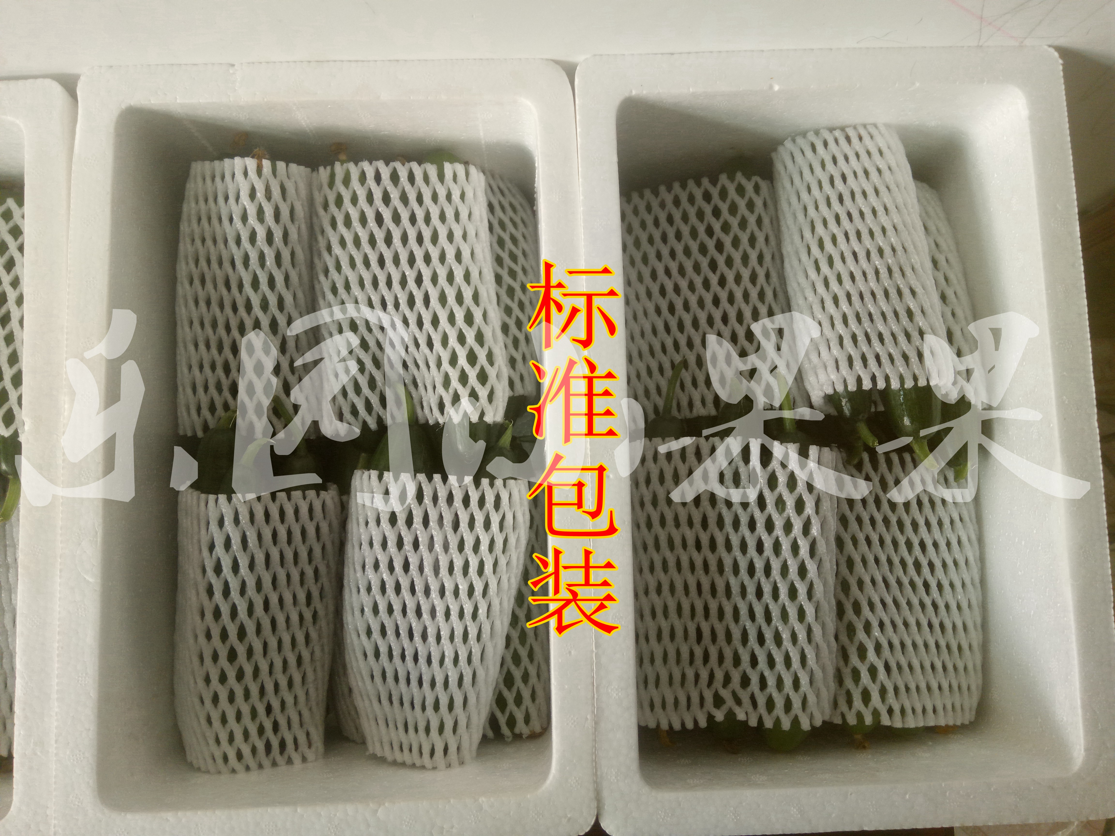 新鲜水果 小黄瓜脆嫩荷兰 小青瓜 即食  孕妇蔬菜 - 图0