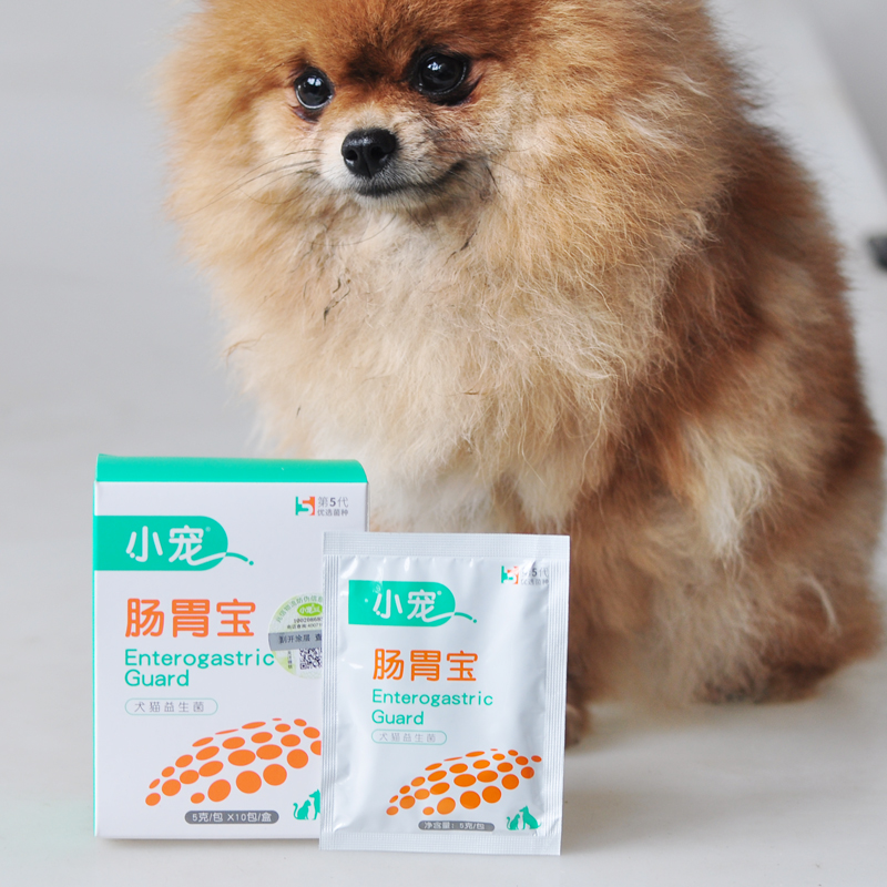 宠物犬狗狗猫咪拉肚子腹泻便肠胃宝秘益生菌治肠胃病保健品 宠物犬狗狗猫咪拉肚子腹泻便肠胃宝秘益生菌治肠胃病保健品