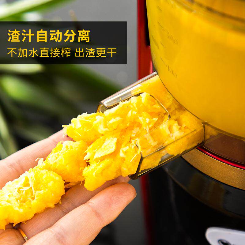 渣分离家用全自动果蔬多功能原汁机 reemziad榨汁机