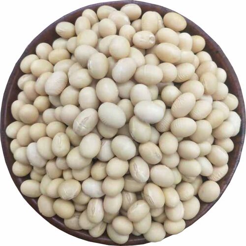 苏北黄豆 老品种椭圆形白皮黄豆 打豆浆豆花豆腐专用豆高蛋白大豆 - 图3