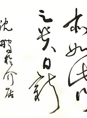 沈鹏书法四尺整张 手写毛笔字草书装饰画名家字画 客厅办公室挂画