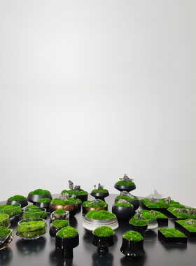 仿真苔藓盆景室内装饰摆件