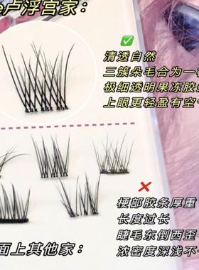 假睫毛女自然仿真素颜太阳花