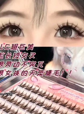 免胶狗狗眼假睫毛懒人三部曲