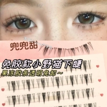 No need glue to glue free self-adhesive lower eyelash small wild cat natural simulation single-cluster grafting false eyelash sloth new hands