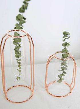 金属花架试管透明玻璃简约现代