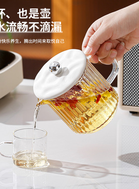 全玻璃迷你养生杯耐热高硼电炖杯