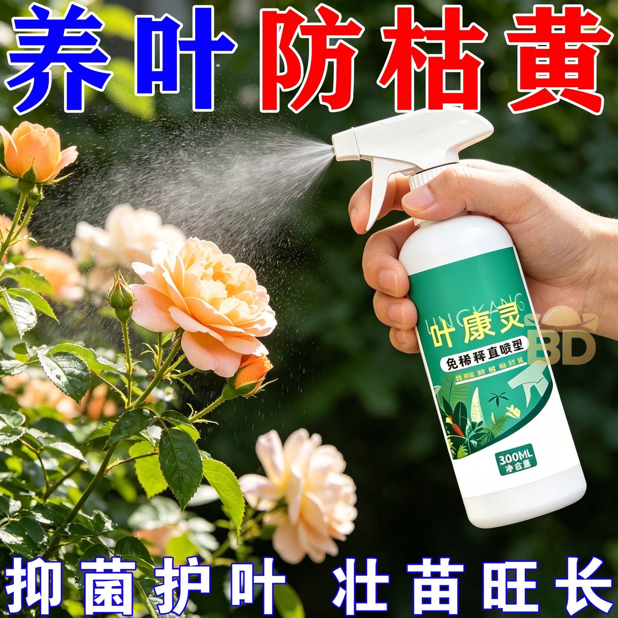 图5