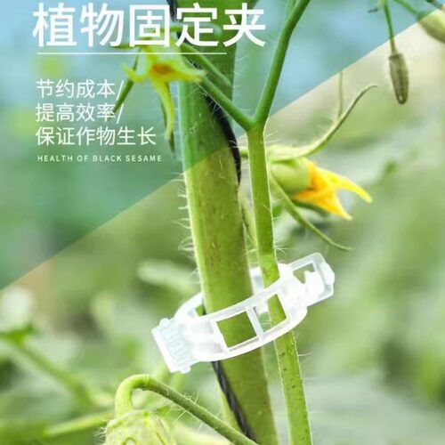 绿植果树植物固定夹卡扣藤蔓固定器秧苗爬藤支撑杆果蔬秧苗吊秧夹 - 图0