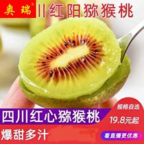Fruit Nest Town Spot Red Yang Sichuan Red Hearts Kiwi Fruit Peach Should Season When Season Mud Monkey Peach Now Pick Fresh Fruit Chic Exotic Fruits