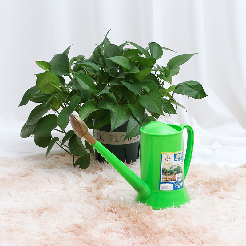 加厚浇水喷水喷壶多肉绿萝家用园艺工具尖嘴养花盆栽华丰花洒包邮 - 图1