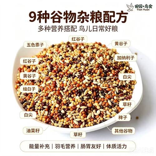 谷子杂粮虎皮牡丹鹦鹉混合鸟粮专用饲料日常喂食黄雀黄鸟食玉鸟 - 图0