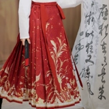 Jinxianyao Оригинальная юбка для лапши конной лапши Новая китайская национальная ветряная куртка Hanfu Ming Hanfu Costume Девушка