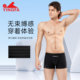 英发男款泳裤专业训练速干泳裤男士青少年游泳装备新款平角游泳裤