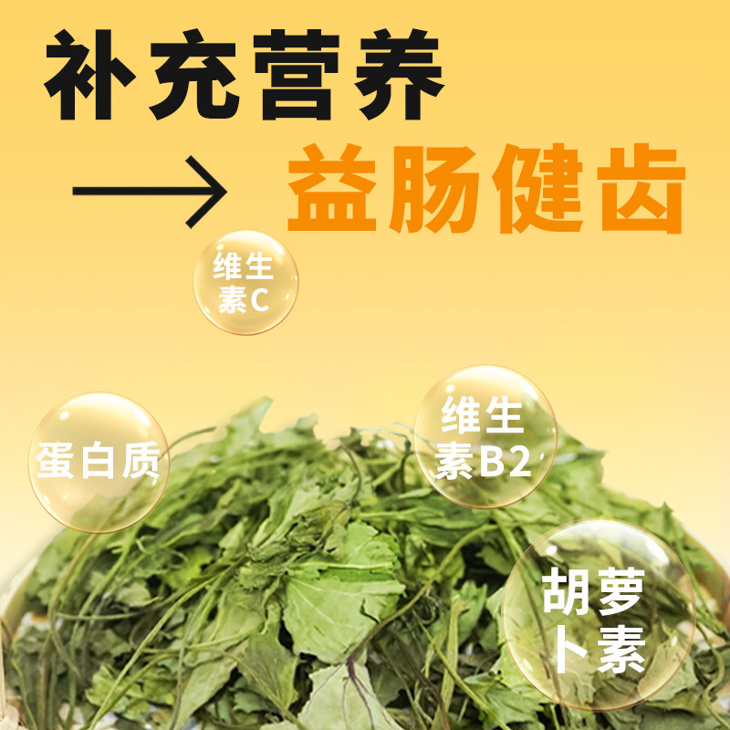 保健草红薯叶兔子干草食用草大地瓜叶龙猫荷兰猪干草牧草营养保健,淘宝优惠券,粉丝福利购,淘宝优惠卷