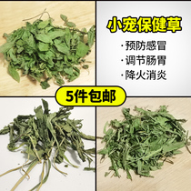 Rabbit Rabbit Health Care Grass Mint Leaf Chicory Grass Dandelion Dry Grass Try Eating Rabbit Dragon Cat Fever to Fire Home Standing