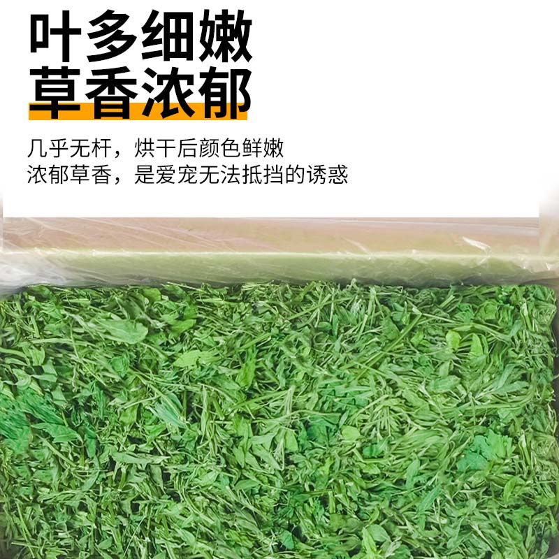 7A级苜蓿草干草纯叶全草叶含少量嫩枝烘干兔子龙猫荷兰猪粮食300g - 图1