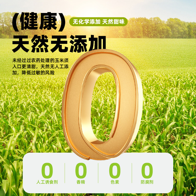 荷兰猪零食新鲜玉米须磨牙玉米笋兔子豚鼠草粮食补充营养互动零食,淘宝优惠券,粉丝福利购,淘宝优惠卷