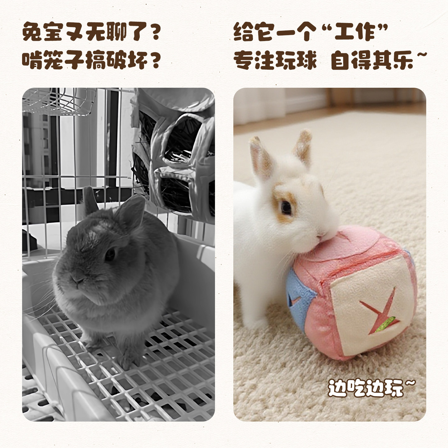 兔子玩具解闷耐啃咬自嗨漏食球益智解压释放宠物豚鼠龙猫玩具用品,淘宝优惠券,粉丝福利购,淘宝优惠卷