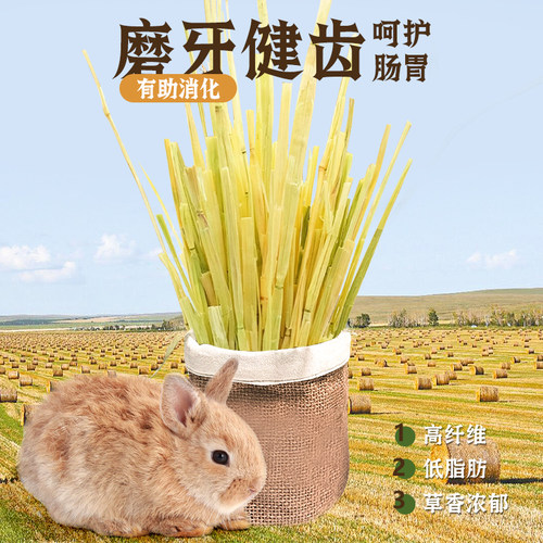 澳麦黄金燕麦草手挑版5A级一番进口兔子豚鼠龙猫干草500g绿澳麦 - 图3