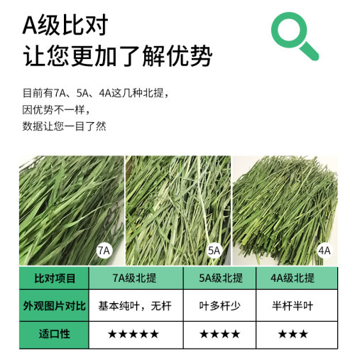 4A级烘干提摩西草杆半叶半杆适合挑嘴兔兔豚鼠龙猫干草北提500g - 图0