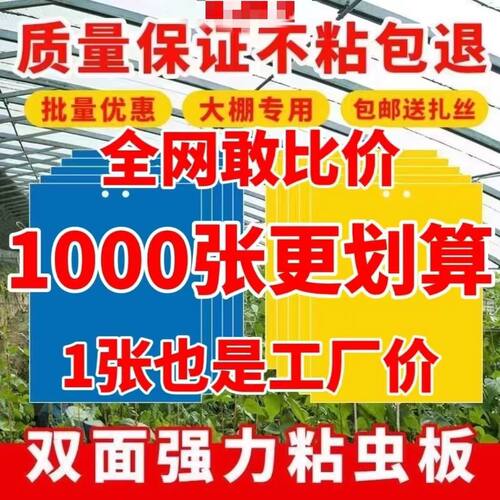 粘虫板黄板双面诱虫板黄色黏板蓝板蓟马灭小飞虫沾杀果蝇大棚果园 - 图2