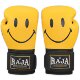 Raja Professional Adult Boxing Gloves