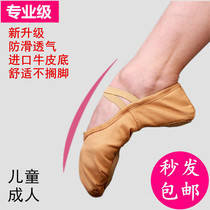 Dancer dance shoes women Soft bottom practice shoes Poetry Gorge Adult Cat Paw Shoes Canvas Body Dancing Shoes Children Ballet Shoes