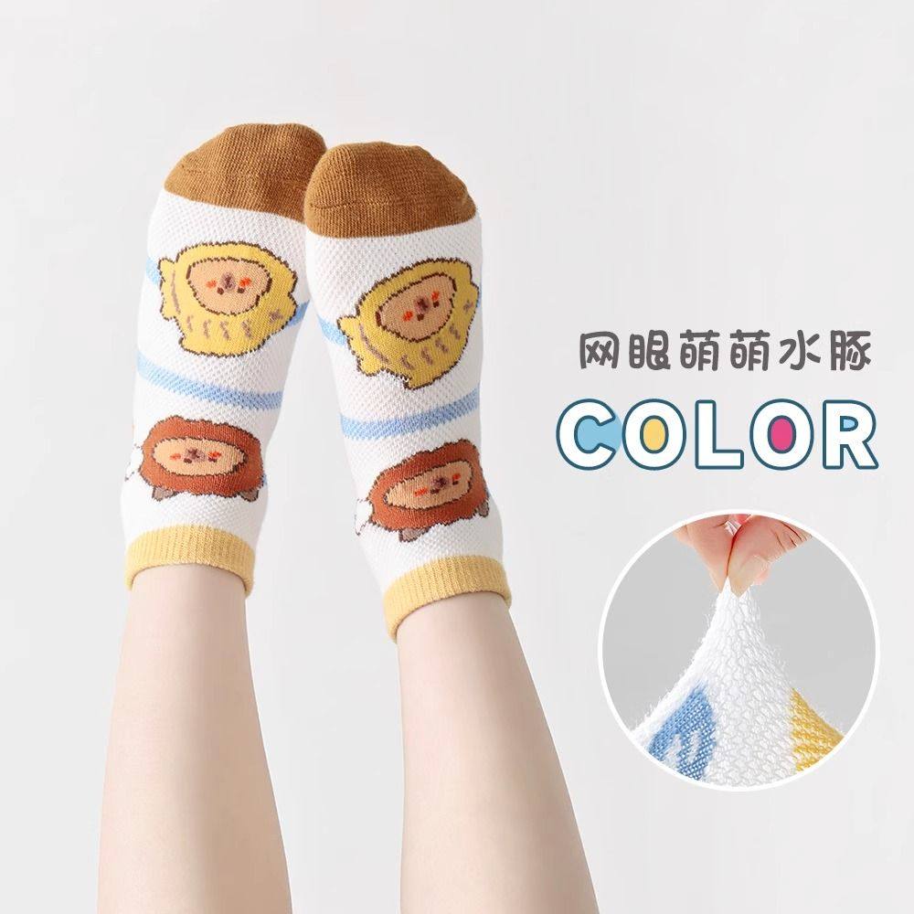 男童袜子夏季薄款网眼小学生棉袜儿童卡通袜宝宝小童春秋卡皮巴拉,淘宝优惠券,粉丝福利购,淘宝优惠卷