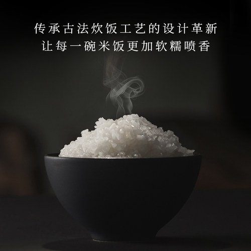 TIGER/虎牌 JBX-A10C智能预约多功能电饭煲家用日本进口正品3L/5L - 图0