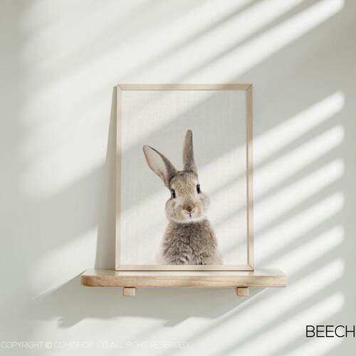 北欧同步儿童房装饰组合壁画兔宝宝系列幼儿园托儿所实木装饰挂画 - 图0