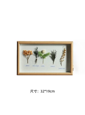 现代样板间植物主题桌面摆件
