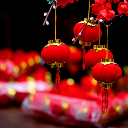 大红植绒小灯笼连串树上挂饰元旦春节户外室内装饰品批发小红灯笼 - 图2