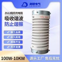 ZG12 series electrostatic dust removal high-pressure winding damping resistance 400W 800W 2000W 2000W power resistor