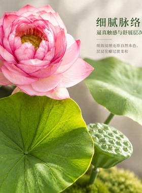 荷塘春意清雅盆景摆件客厅桌面