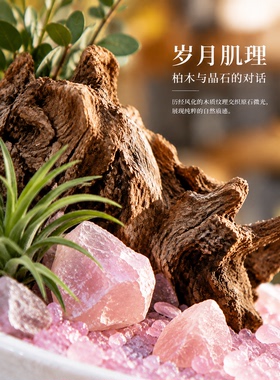白色陶瓷花瓶绿植家居摆件度假风