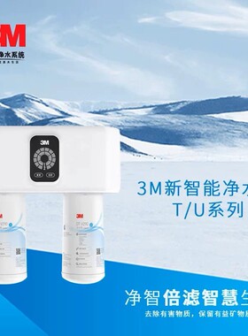 3M净水器滤芯DT-V290通用WTD29
