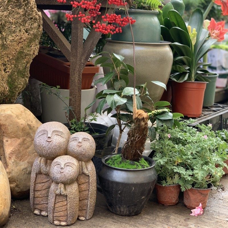 花园摆件中式大号沙弥小户外日式庭院阳台造景居装饰品,淘宝优惠券,粉丝福利购,淘宝优惠卷