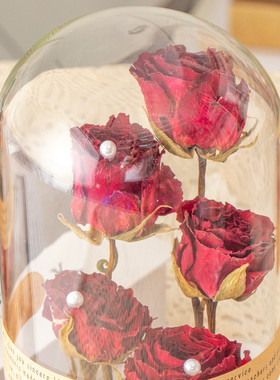 花束真玫瑰花干花植物标本女生日礼物永生花玻璃罩桌面摆件圣诞节