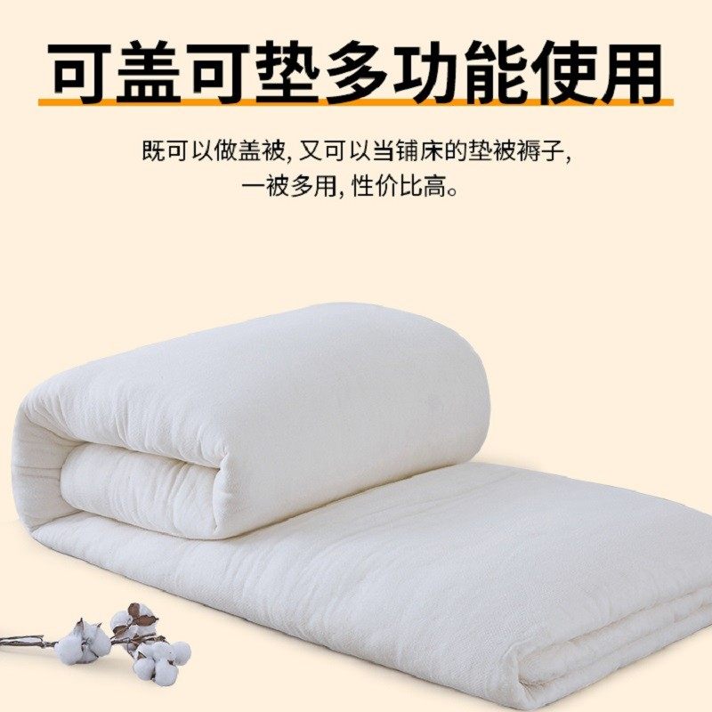 被纯棉花被芯冬被加厚保暖棉絮长绒棉垫被褥铺床垫全棉被子,淘宝优惠券,粉丝福利购,淘宝优惠卷