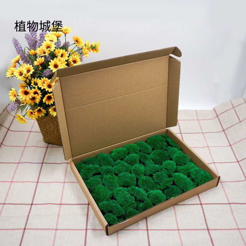 厂家批发永生白发藓仿真苔藓盒装青苔枯山水造景植物墙室内景观,淘宝优惠券,粉丝福利购,淘宝优惠卷