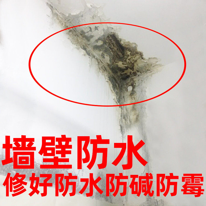 墙面防水防霉防碱墙壁修复返潮泛碱长白毛处理补墙膏腻子墙碱渗水,淘宝优惠券,粉丝福利购,淘宝优惠卷