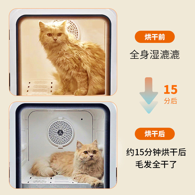 谢尔迪宠物烘干箱烘干机用吹水机猫咪狗狗吹干机神器洗澡吹风机,淘宝优惠券,粉丝福利购,淘宝优惠卷