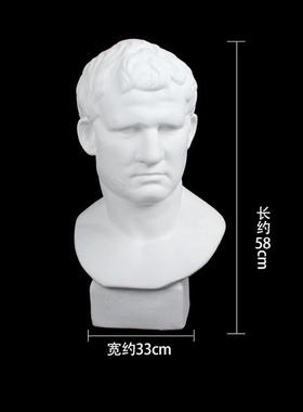 阿格里静物石膏像人物头像美术教具石膏头像素描石膏巴模型摆件