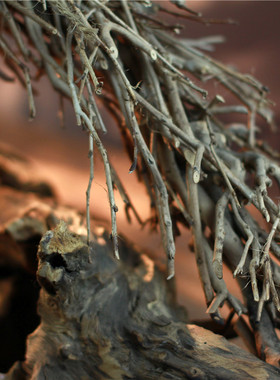 热销专业酒店茶树枝桌面创意特色时尚餐厅民宿手工制作工艺装饰灯