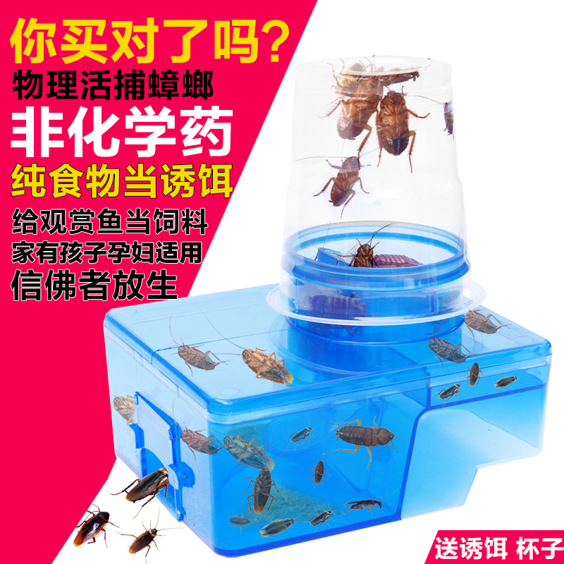 杀灭蟑螂神器克星无毒家用强力小蟑螂药 热品库 性价比省钱购